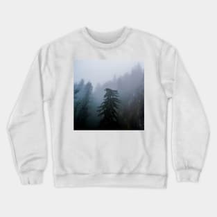Pine Trees In A Forest Crewneck Sweatshirt
